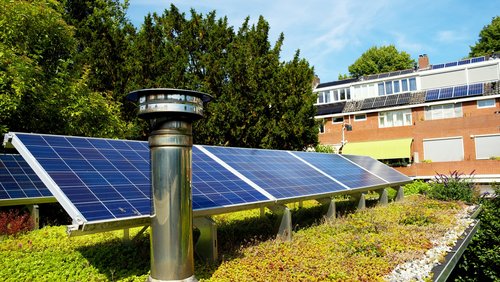 Blaue Sonnenkollektoren auf einem Gründach mit Sedumpflanzen zur Klimaanpassung