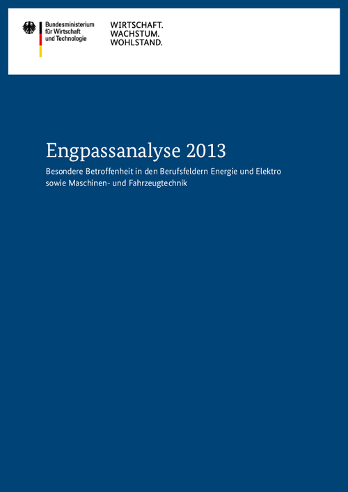 Engpassanalyse 2013