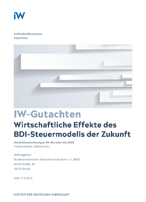 Economic Effects of the BDI tax model for the future
