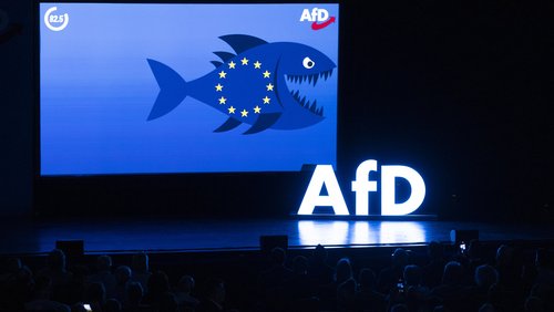 Parteitag der AfD, auf einer Leinwand ist ein Fisch mit EU-Flagge zu sehen.